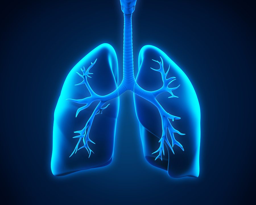 Homecare in Indian AK: COPD - Chest X-Rays For Your Senior